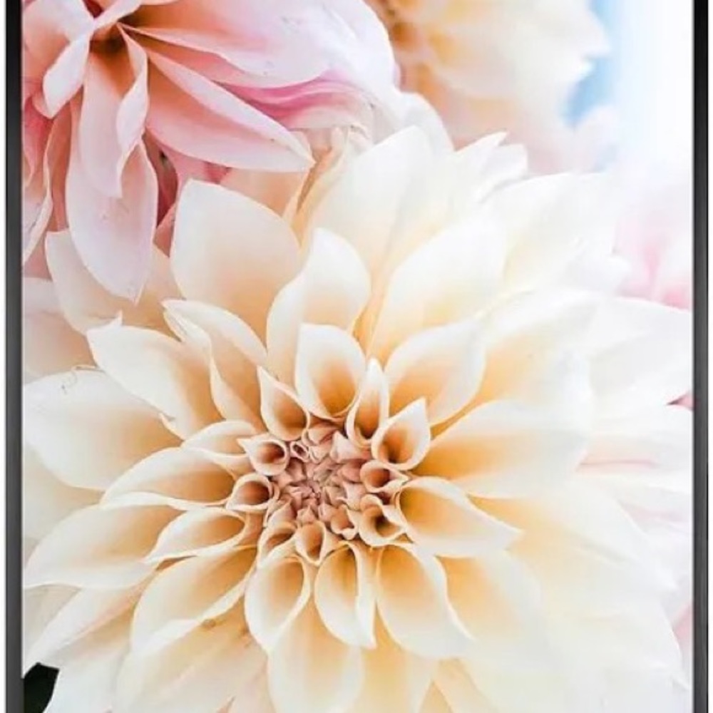 Meet your Posher, Rosanna